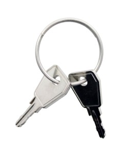 Thule Yepp sleutel voor Yepp 2 en Yepp Nexxt 2 nummer N249