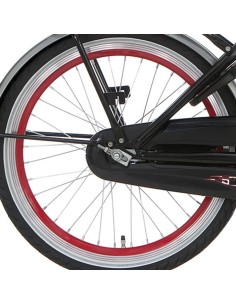 Roland voorwiel 28 naafdynamo DH3N31 ZAC2000 zilver RVS spk