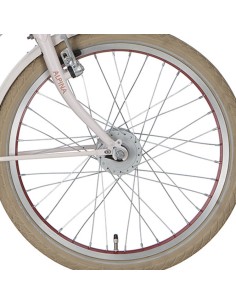 Alpina achterwiel 22 Nexus 3 RN J19DB zilver zink spk