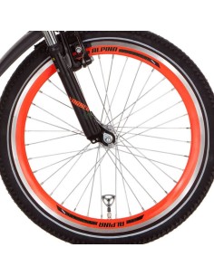 Roland achterwiel 28 x 1 uitval cass 9v Race zilver RVS spk