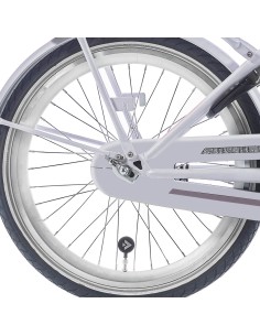 Alpina achterwiel 22 Nexus 3 RN J19DB zilver zink spk