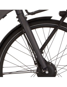Cortina voorvork E-Octa N8 black matt
