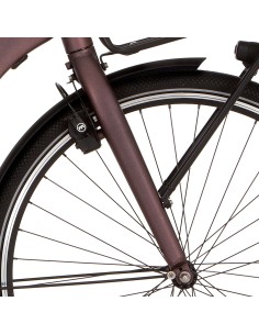 Cortina voorvork E-Roots Transp FM espresso brown matt