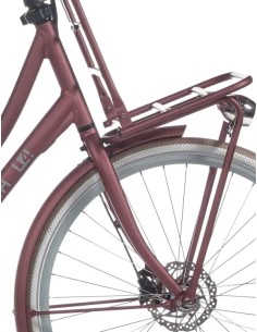 Elvedes schijfremblok Avid DB1/DB3 metallic carbon (10)