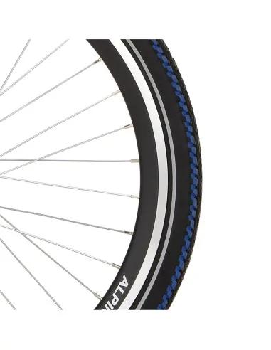 Alpina velg 24 HL20DC black matt