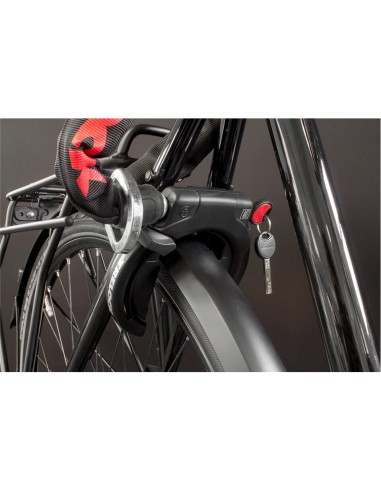 Trelock ringslot RS 453 P-O-C Standard NAZ ART2